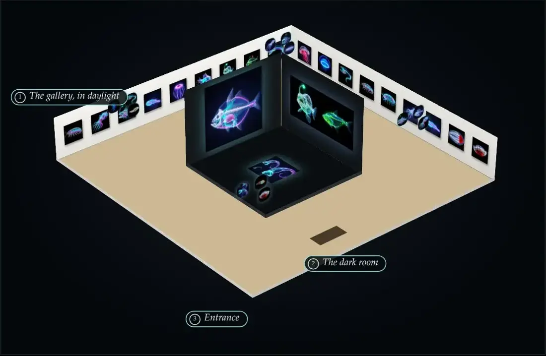 The 400 square metre hall seen from above: a dark room inside a bright gallery