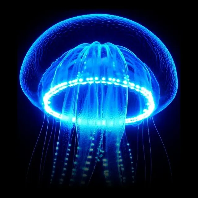 Atolla Jelly, a plate from Glowing Oceans