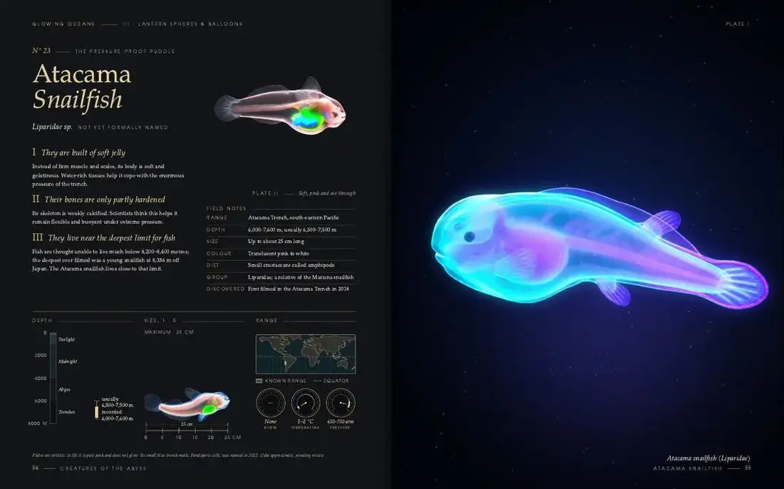 Atacama Snailfish: two pages of Glowing Oceans
