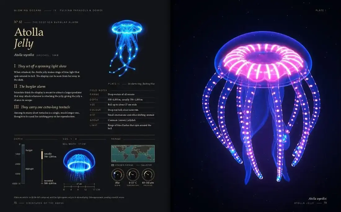 Atolla Jelly: two pages of Glowing Oceans