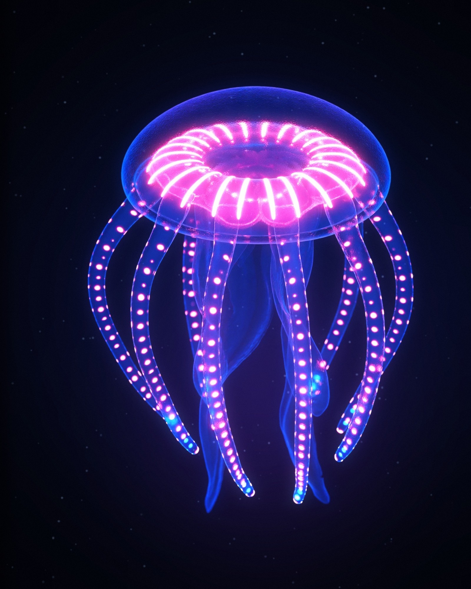 Atolla jelly, a plate from Glowing Oceans