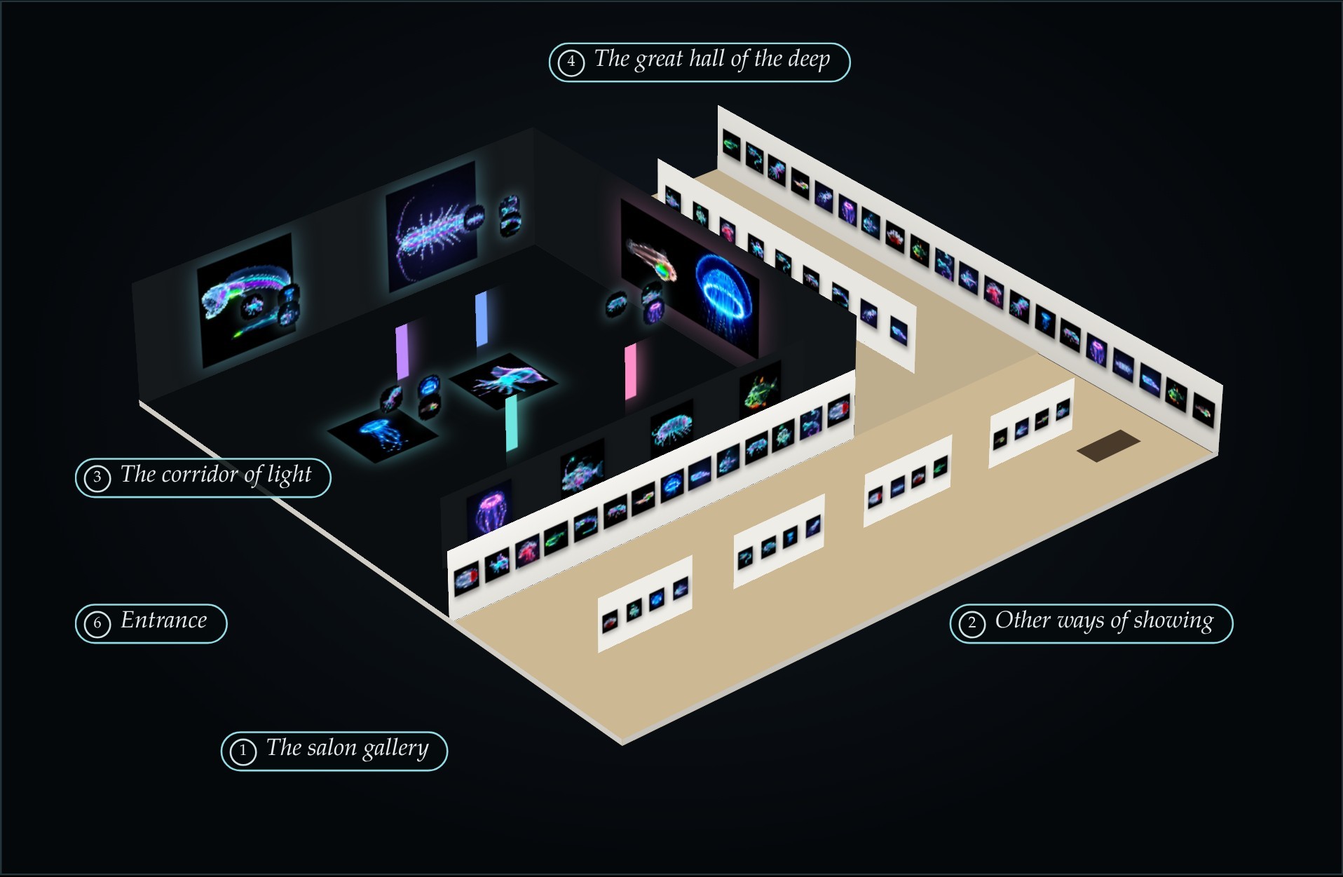 The exhibition: a 900 m² hall (visualisation)